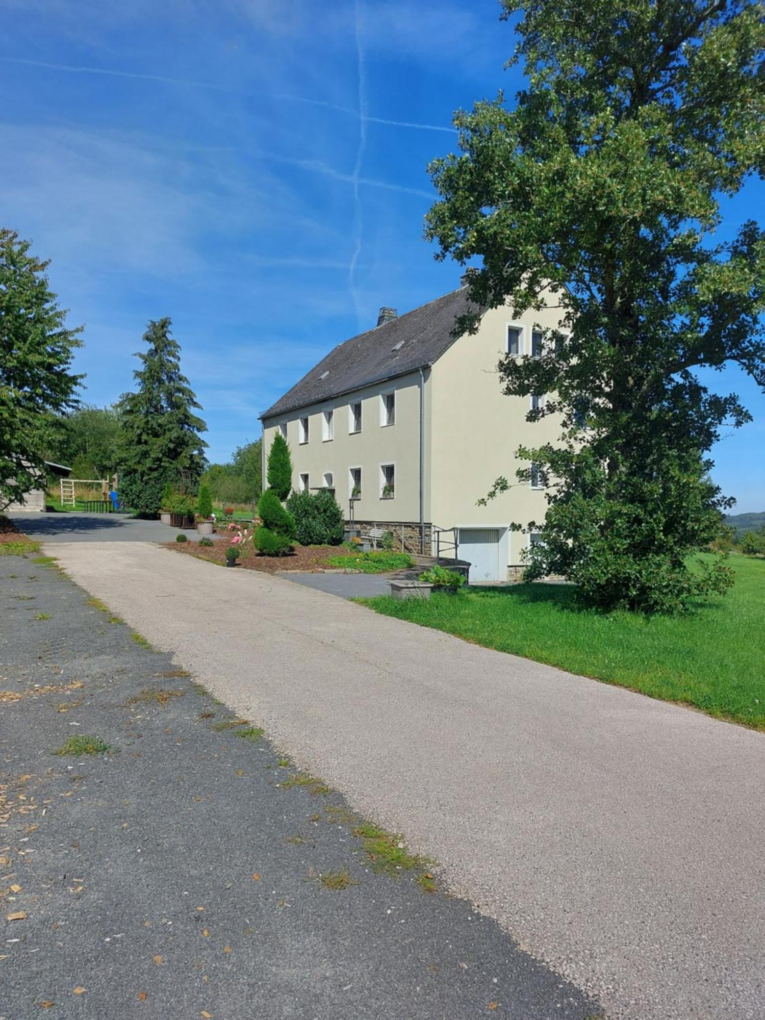 Altes Zollhaus Apartment Hallschlag Exterior photo